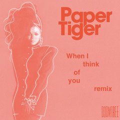 When I think of you (Paper Tiger Remix)