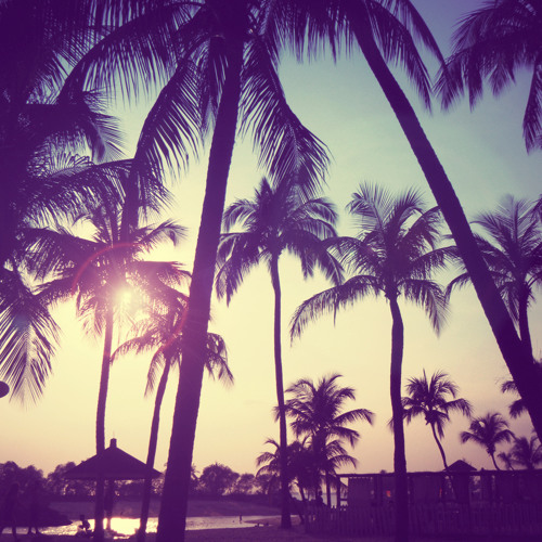 summer breeze