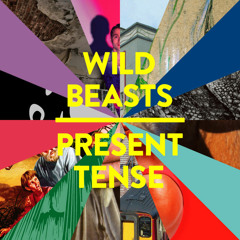 Wild Beasts - Palace (Steve Moore Remix)