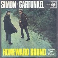 Homeward Bound - Simon & Garfunkel Cover