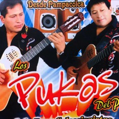 MIX TONERO LOS PUKAS DEL PERU  --    DJ KUERVO