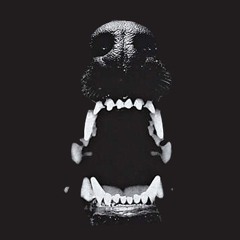 Wild Animal [ Need Beats ? blessguys@gmail.com ]