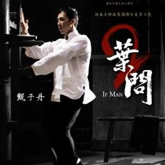 The Legend Of Ip Man - Billydragon(c)