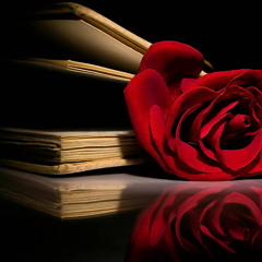 Prelude Love (Master)