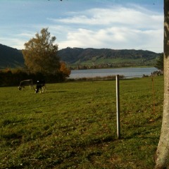 Moment 1 - L. Rutzen-Schlagzeug, V. Strucelj-Klarinette A. Kunz-Violine, J. Wegmann-Piano