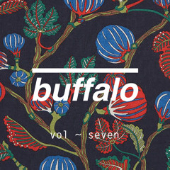 BuffaloUK - Mixtape Vol.7 / Guest Mix: SoundRose