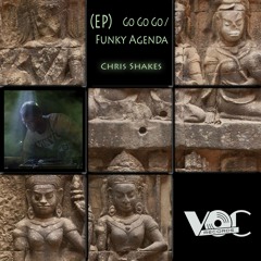 Chris Shakes - Funky Agenda ( Original Mix )