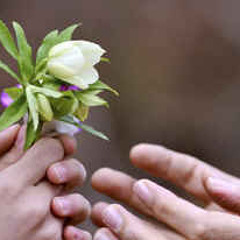 عـــــــــاديه خالص