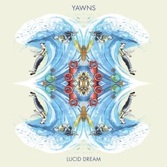 YAWNS - Lucid Dream