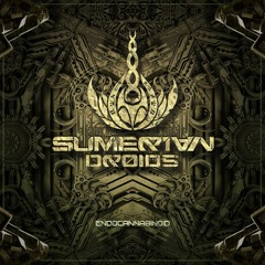 Sumerian Droids - Huayna Picchu (Preview)