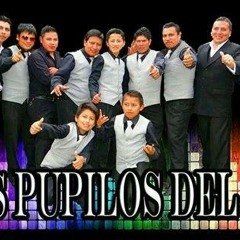 LOS  PUPILOS DEL RIO MEGA MIX.(((Robins)))f@