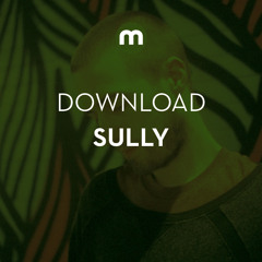 Download: Sully 'Low Res'