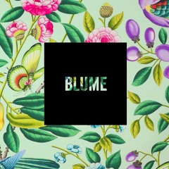 Ashley Blume Mix