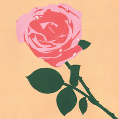 Nerftoss : Bottomless