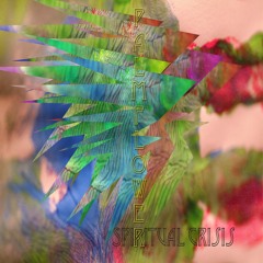 PALMFLOWER - "Skeletons Cant Swim"