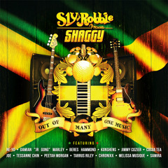 Like Never Before feat. Cocoa Tea & Joe