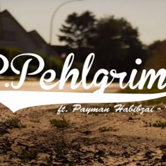 Philip Pehlgrim ft. Payman  -  No New Friends