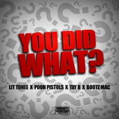 You Did What ?