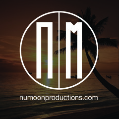 Reggae, Island, Dancehall - Nu Moon Bay Area Wedding DJ Mix