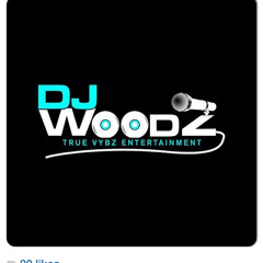 Dj Woodz GOUYAD MIX 2013/14