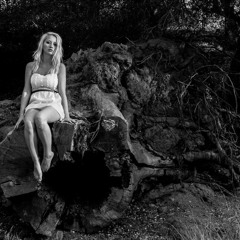 Follow the witch