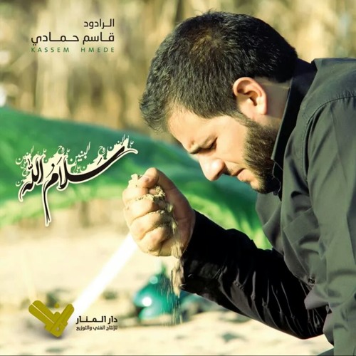 زينب و بو فاضل - للرادود قاسم حمادي