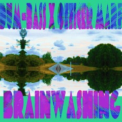 Brainwash