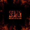 DallasK & KSHMR - Burn (Dotcoms Festival Remix) @iamDOTCOM