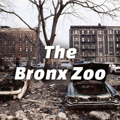 Icey - The Bronx Zoo (Prod. By Frander)