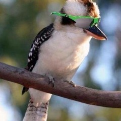 Ghetto Pinga Slinga