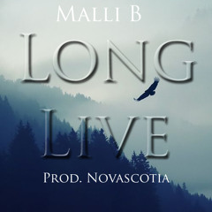 Malli B - Long Live (Prod. Novascotia)