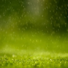 ابتهالات-محمد الفيومي-يا من يرجى