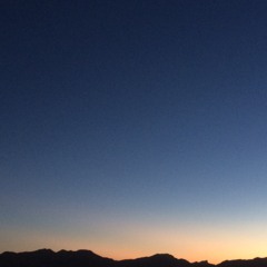 velo de novia. (cov)