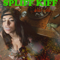 5.Spliff Kiff - My Lil Song (Prod. By Monʞ)