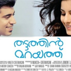 Aayiram Kannumayi - Thattathin Marayathu
