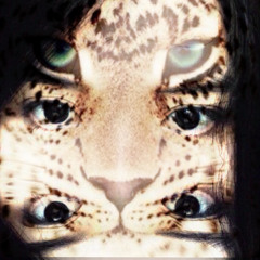 Selena Gomez - Fly To Your Heart