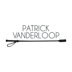 Beautifull Lie (Vanderloop Remix)