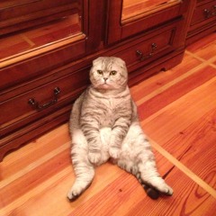 Igor Zaycef - Deep Time 1