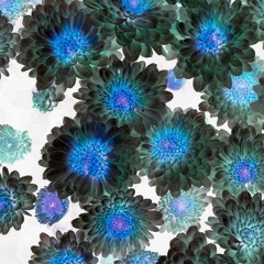 PSYCHEDELIC REEL