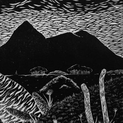 Câmera - Lost Cause, I Surrender!