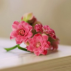 يا زين أيامي يا خلي - مو كاملة