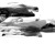Artwork for Daniel Avery - Drone Logic