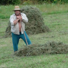 The Migration Merry-Go-Round in Transylvania