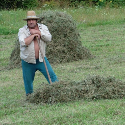 The Migration Merry-Go-Round in Transylvania