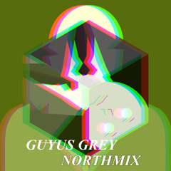 Guyus Grey - Northmix (Analog Edition)