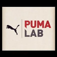 Puma Canvas -Juan Saez-