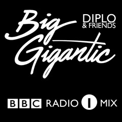 Big Gigantic 2014 Diplo And Friends Mix