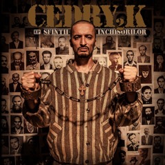 Cedry2k - Ridica-te, Gheorghe, ridica-te, Ioane! de Radu Gyr