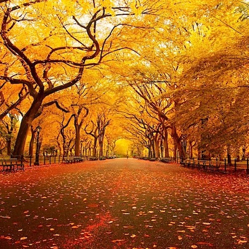 Sunday Session - Autumn 2014