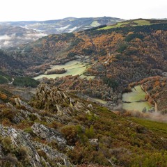 And I Love Her - Reinhold Bohrer & Mario Castrillón